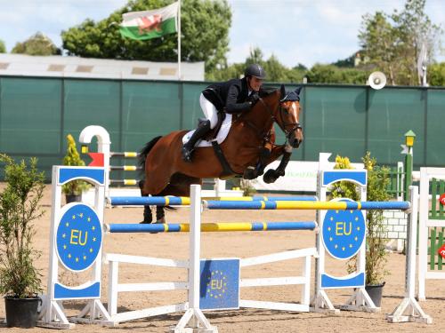 Sean Walsh Irish Show Jumper